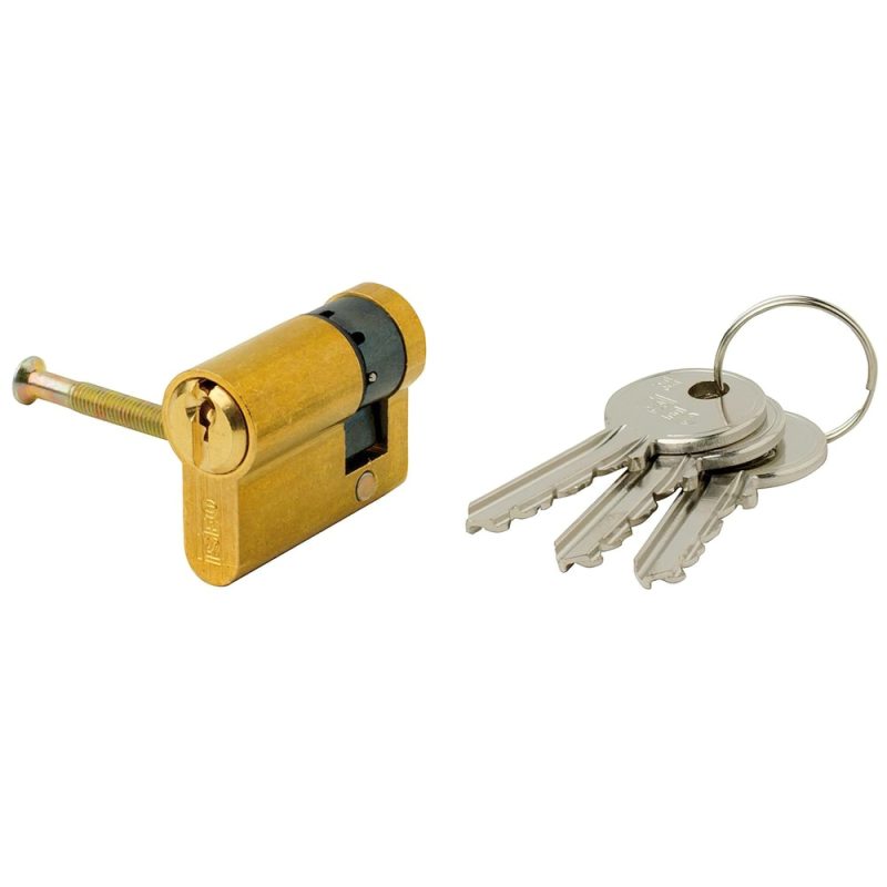 Cilindro Iseo F5  Europeo 30×10 Latonado Leva Larga