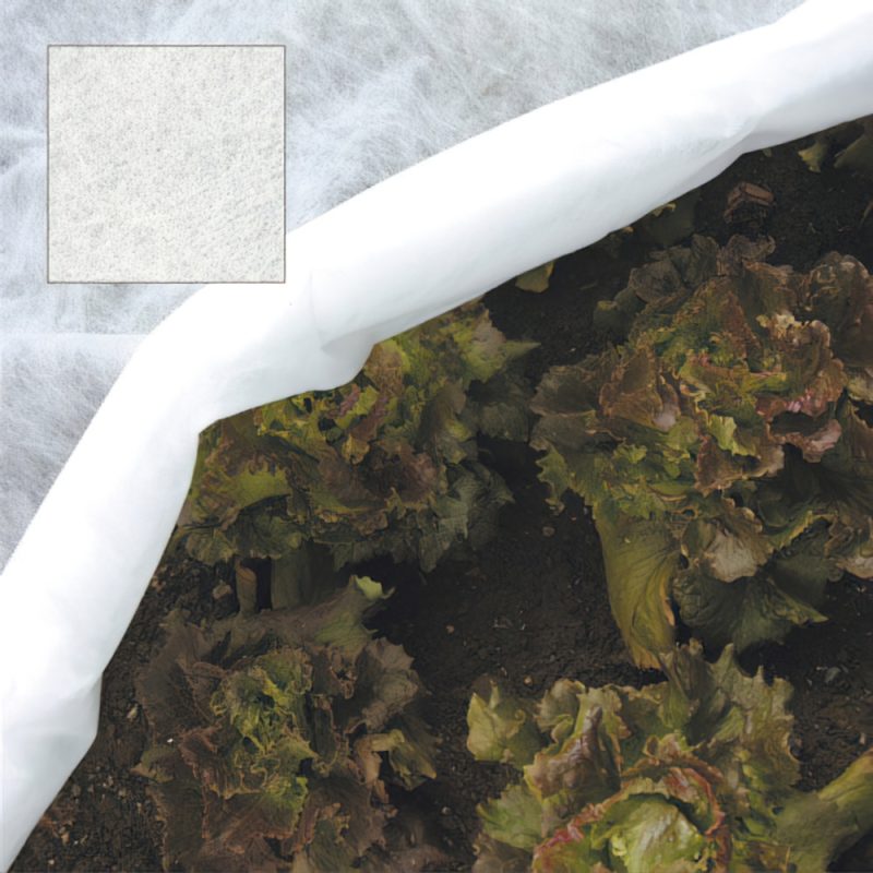 Malla Protectora Para Plantas (1,5×5 metros)