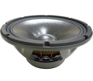 Altavoz 10 300Waes BEYMA 10WR300