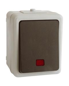 Conmutador Luminoso Superficie Estanco IP54