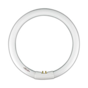 Tubo Fluorescente Circular T9 22W Ø208mm 6500K DH