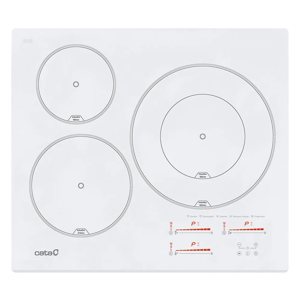 INDUCCION CATA INSB 6030 WH