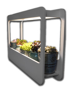 Kit de Crecimiento de Plantas para uso Interior
