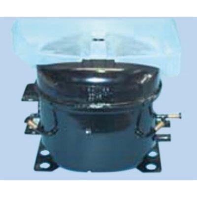 Compresor frigorÃ­fico gas R600 1/5 3 bocas.
