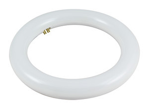 Tubo LED Circular T9 20W Luz 6400K