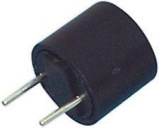 Fusible Lento Miniatura 2Amp 250Vac Raster 5,08mm
