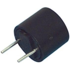 Fusible Lento Miniatura 3.15Amp 250Vac Raster 5,08mm