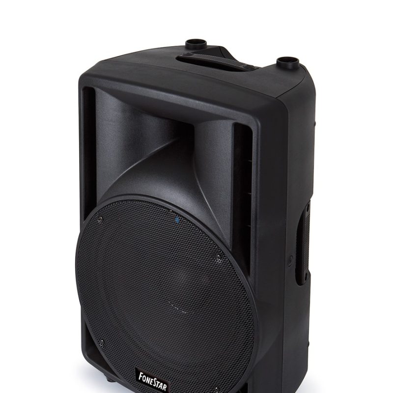 Altavoz Pasivo 12′ 300Wmax FONESTAR SB-3612