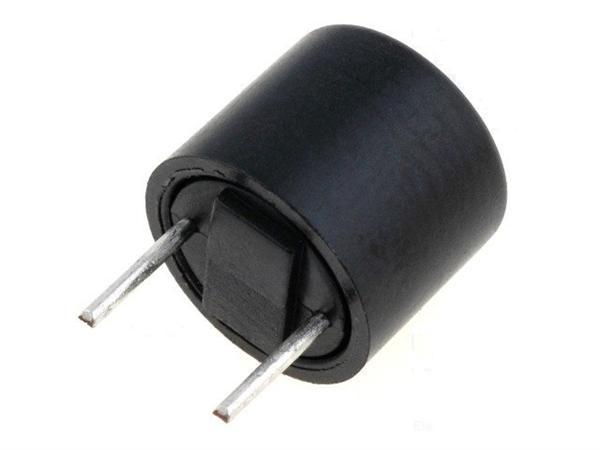 Fusible Lento Miniatura 250mA  R5,08mm RFT-0,250A